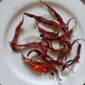Beena Radia's cooksnap of when they made લાલ મરચા ની સૂકવણી (Lal Marcha Sukavani Recipe In Gujarati).