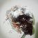 Cooksnap dari Masnun Mutho Khoiriah untuk resep Choco Lava Cake
