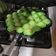 Cooksnap dari trixie s untuk resep Egg waffle