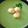 El cooksnap de MariaM cuando hizo Crema de cilantro en 1 2 X 3.