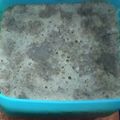 Cooksnap dari Duwiisha untuk resep Brownies Kukus tepung beras
