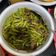 Cooksnap dari Rosalinda Liem untuk resep Brokoli siram daging cincang dan jamur