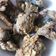 Cooksnap dari Diah Azhari untuk resep Belut Goreng Crispy