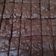 Cooksnap dari Arum Nugraheni untuk resep Callebaut Fudgy Brownies