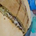 Cooksnap dari Afifah Adelia untuk resep Terang Bulan / Martabak Manis Teflon simple (takaran sendok)