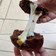 Cooksnap dari DEBY_ANITA untuk resep Kue Balok Brownies Lumer