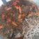 Cooksnap dari Iik Freksti untuk resep Semur bihun mujaer mama athasya