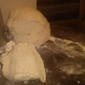El cooksnap de bra Martirena cuando hizo Tortas fritas!.
