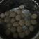Cooksnap dari endah rudi untuk resep Bakso Daging Sapi Lembut dan Kenyal (memakai daging sapi Frozen)