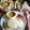 Sanchita Das(Titu)'s cooksnap of when they made লুচি আলুর দম (Luchi aloor dum recipe in Bengali).