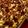 sugaree76's cooksnap of when they made Bacon Chicken Bake.