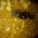 El cooksnap de Flor far cuando hizo Sopa Paraguaya.