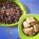 Cooksnap dari Chandraa S Agusta untuk resep Terong goreng saus tiram gurih ala alZaytun
