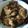 Cooksnap dari Ummi Hanifah Hasan Akil untuk resep Ayam Saos Teriyaki #resepanakkos #cookedbydita