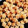 Cooksnap dari Mama Mutiara untuk resep Kaasstengels (Kue Batang Keju)