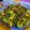 Afshan Arif's cooksnap of when they made Mix sabzi.