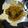Saroj Shah's cooksnap of when they made Soyabean Dum Biryani.