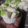 Cooksnap dari Ambar Widhie Prasetyo untuk resep Empek Empek Sederhana