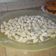 El cooksnap de Giannina Gadeauw cuando hizo Ñoquis de harina.