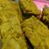 Cooksnap dari Bunda Ghazia untuk resep Tahu tempe goreng bumbu kuning simple