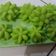 Cooksnap dari Erlingda Aling untuk resep Bolu pandan kukus no mixer anti gagal