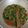 Cooksnap dari Dower untuk resep Capcay Sayur Kuah