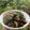 Cooksnap Siti Nur Hidayah Hasan semasa beliau membuat Daging Goreng Ketumbar.