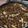 Cooksnap dari Dessy Suciono untuk resep Beef teriyaki ala hokben by umi nara