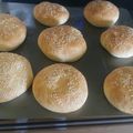 El cooksnap de alba cuando hizo Pan de hamburguesas casero.