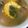 Cooksnap dari Lotusiana Thariq untuk resep Sayur Asam