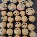 Erina Schreiber's cooksnap of when they made Blueberry Oatmeal Muffins.