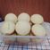 Cooksnap dari Feni untuk resep Apem Tape Kribo (390)