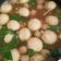 Cooksnap dari Nur Hendrik untuk resep Kuah Bakso lemak sapi