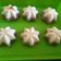 Cooksnap dari Ummu Aqim untuk resep Putu ayu ubi ungu