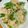 Lucy 的 金沙蔬食蝦仁 cooksnap