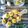Cooksnap dari iiswatizain untuk resep Dimsum macaroni