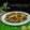 Cooksnap dari Dikta Karlina (ArKitchen) untuk resep Tumis asin cumi cabe gendot