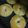 El cooksnap de Katzu Kat cuando hizo Bagels.