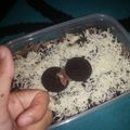 Cooksnap dari Dewi Sulistiawati untuk resep Cheese Cake Lumer Oreo