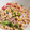 El cooksnap de Yolan08 cuando hizo Ensalada de garbanzos con atún.