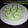 Cooksnap dari Iyah Aza Dieh untuk resep Putu Ayu (tanpa santan)