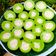 Cooksnap dari Fitria Amir untuk resep Kue Nona Manis