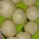 Cooksnap dari krismonita marbun untuk resep Bakpao isi kelapa parut