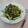 王遠貞 的 燙大陸妹 cooksnap