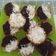 Cooksnap dari Nurul Endang Sulastri Yustriarini untuk resep Martabak Mini Keju Coklat