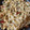 El cooksnap de Lucía cuando hizo Noodles de arroz con pimientos y pollo.