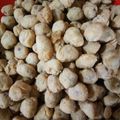 Cooksnap dari intan permata untuk resep Kacang Telor Renyah