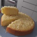 Cooksnap dari g. ari untuk resep Bolu Tape Lembut (Rekomen kudu dicoba)