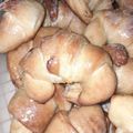 El cooksnap de Antonella Witschi cuando hizo ✨Medialunas de manteca✨ fáciles, económicas y muy ricas.
