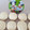 El cooksnap de Mersua cuando hizo Galletas de leche condensada.